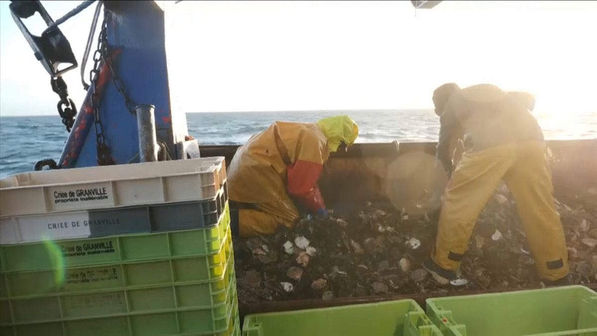 Streit um Fanggründe vor Jersey: Französische Fischer in Not