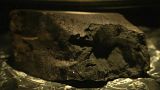 The "Winchcombe Meteorite" on display at the Natural History Museum