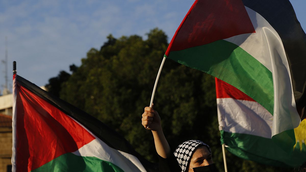 A Palestinian woman living in Cyprus waves a Palestinian flag to protest at Elephtheria, Liberty, square in capital Nicosia, Cyprus