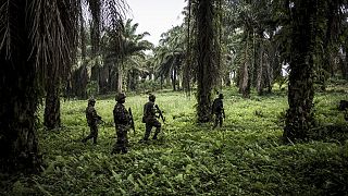 RDC-Ouganda : les ADF financés par le groupe Etat islamique, selon l'ONU