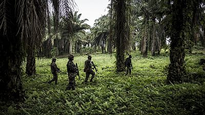 RDC : plus de 20 présumés rebelles ADF tués en 10 jours, selon l'armée