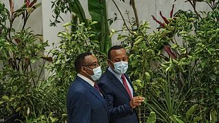 Ethiopia aims to plant 20 billion trees by 2022