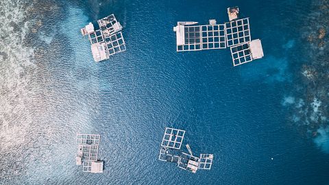 Aquaculture farm