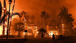 Fire burns among houses during a wildfire in the village of Schinos, near Corinth, Greece, late Wednesday, May 19, 2021