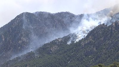 Ελλάδα: Στάχτη χιλιάδες στρέμματα δάσους από την πυρκαγιά