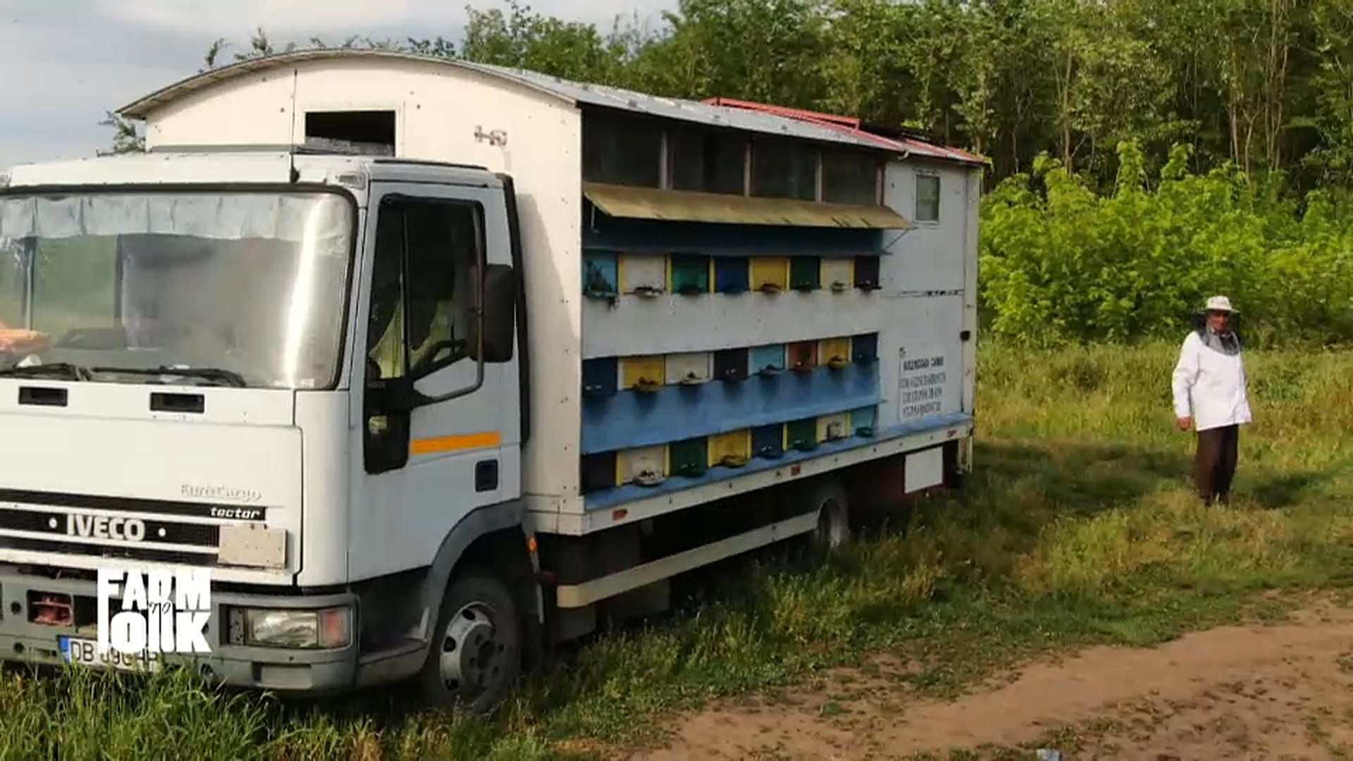 Bees, the workers helping to create a sweet sustainability in Europe ...