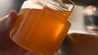 Il miele come antibiotico naturale
