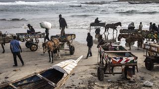 A Dakar, trouver son pain sous les sabots d'un cheval