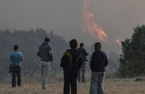 Feux de forêts : des milliers d'hectares brûlés en Grèce et en Espagne