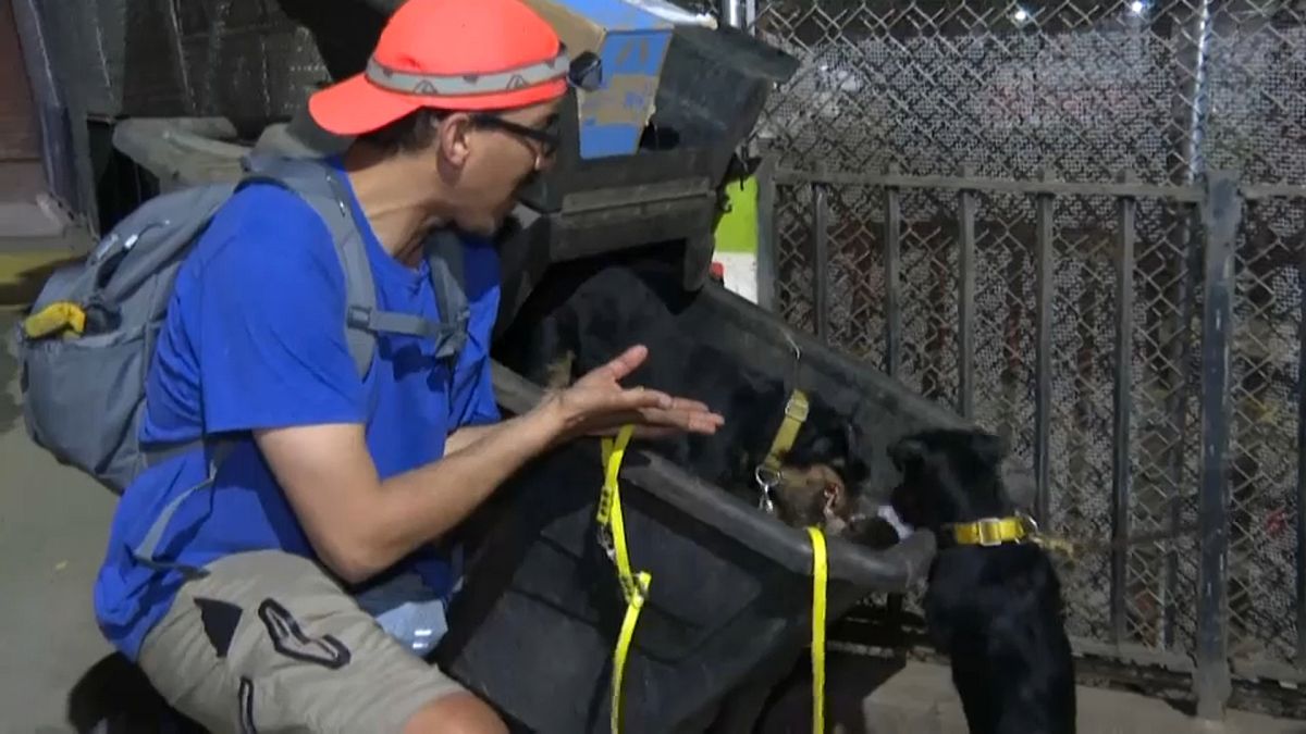Ein Hobby-Rattenfänger und seine zwei Hunde haben eine Ratte in einer Mülltonne aufgespürt - und schon am Schlafittchen gepackt