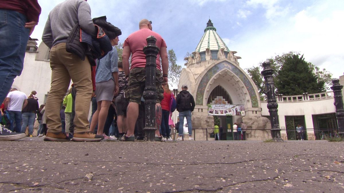 Sorban álló turisták a Fővárosi Állat- és Növénykert bejáratánál