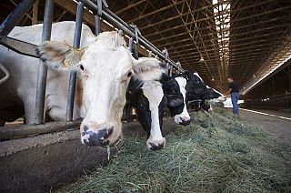 The National Farmers' Union has expressed concern about the deal