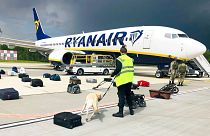 بازرسی چمدان‌های مسافران هواپیمای شرکت «رایان ایر» در فرودگاه مینسک