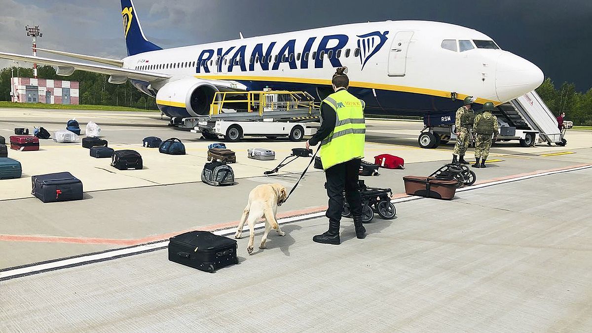 Bombakereső kutya vizsgálja át a földre kényszerített repülőgép utasainak csomagjait a minszki repülőtéren 2021. május 23-án
