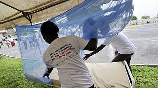 Niger : plus de quatre millions de moustiquaires contre le paludisme