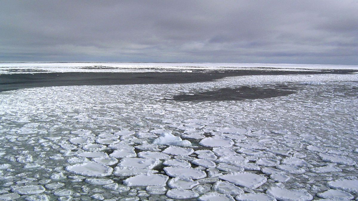 Antarktika kıtasının etrafındaki okyanusta yüzen deniz buzları alanı 2016'dan beri küçülüyor.