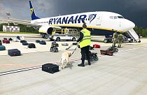 In this photo provided by ONLINER.BY, Ryanair plane SP-RSM, diverted Minsk International airport, Sunday, May 23, 2021..