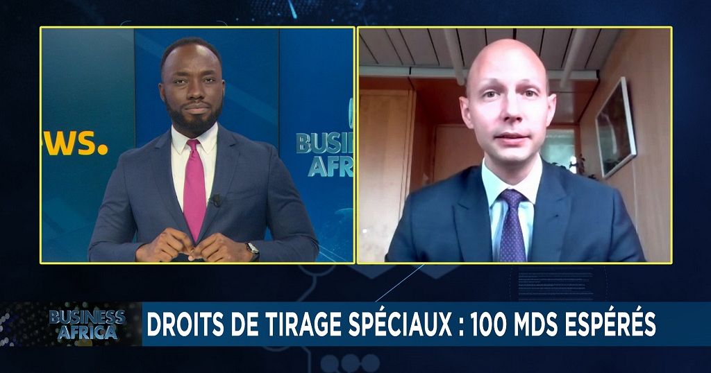 Les droits de tirages spéciaux sont-ils suffisants ? [Business Africa]