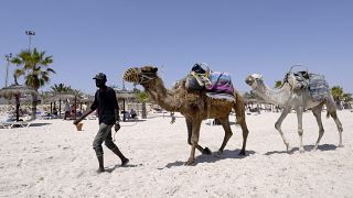 Tunisia hopes to revive tourism sector via Eastern European visitors
