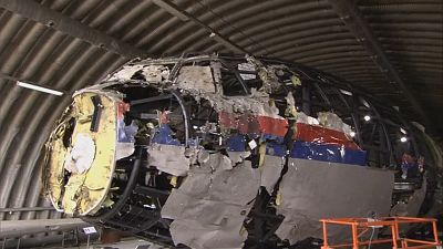 Malaysia Airlines MH17 wreckage