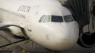 Un Airbus A320 usato dalla compagnia Delta Airlines