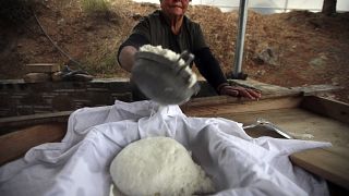 Sfruttamento e regole mancanti in agricoltura, uno scandalo che continua 