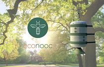 econoc