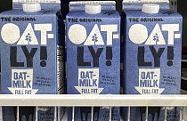 Oatly containers in North Miami, US