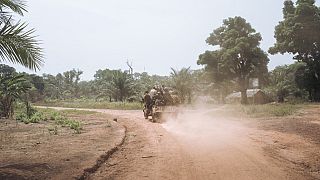 Centrafrique : onze personnes tuées par des mines en moins d’un mois