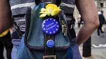 Протестующая против Brexit носит значки ЕС на своей сумке недалеко от Парламентской площади в Лондоне в 2021 году