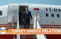Turkey's Foreign Minister Mevlut Cavusoglu disembarking from plane, greeting officials