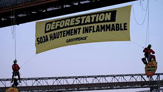 Greenpeace activists block a soya warehouse in western France