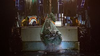 Fishermen pull up their gillnet during a midwater pair trawl on the Gulf of Gascony sea, off the coast of France