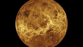 il pianeta Venere in un'immagine resa disponibile dalla NASA e realizzata con i dati della sonda Magellan e del Pioneer Venus Orbiter