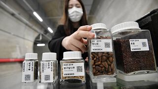 a researcher displaying seed samples in a tunnel at the Baekdudaegan National Arboretum Seed Vault Centre in the southeastern mountainous county of Bonghwa.