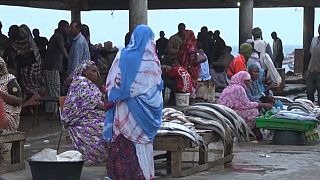 Fishing in Senegal