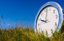 Did you know plants can tell the time?
