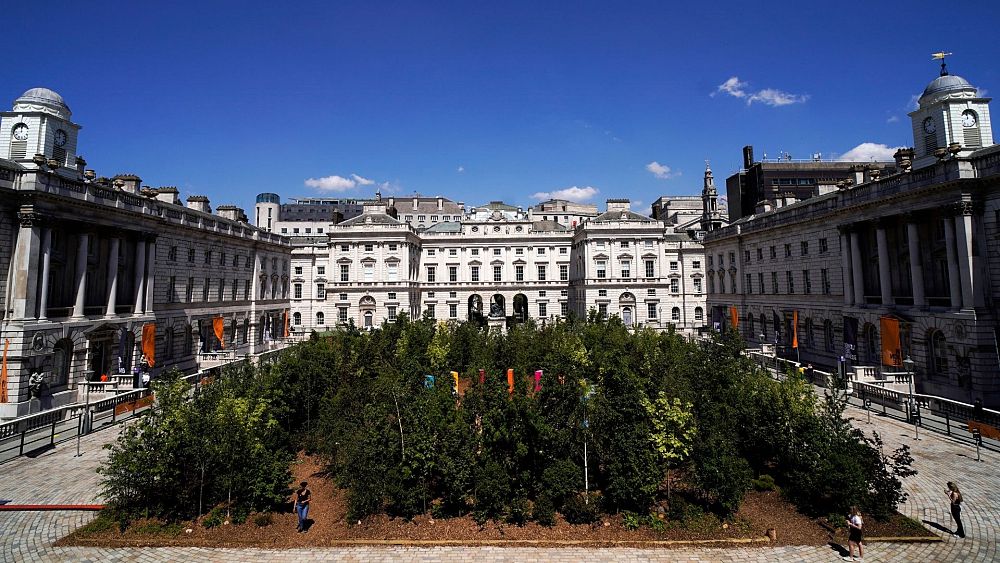 Richard Curtis and Es Devlin plant Forest for Change at Somerset House