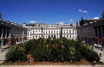 The 'Forest for Change' in the courtyard of Somerset House, as part of the London Design Biennale.