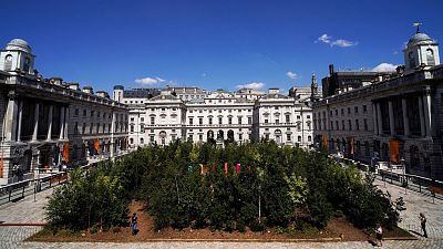 The 'Forest for Change' in the courtyard of Somerset House, as part of the London Design Biennale.