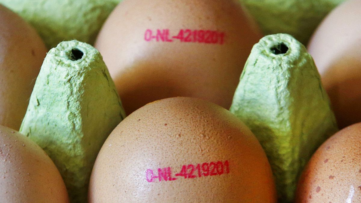 2017 wurden 73.000 mit Fipronil verseuchte Eier aus den Niederlanden aus deutschen Supermärkten zurückgerufen
