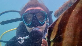 Marine biologist Rosalie Bailie has spent the last 6 months working with REEFolution in Kenya to restore coral reefs. 