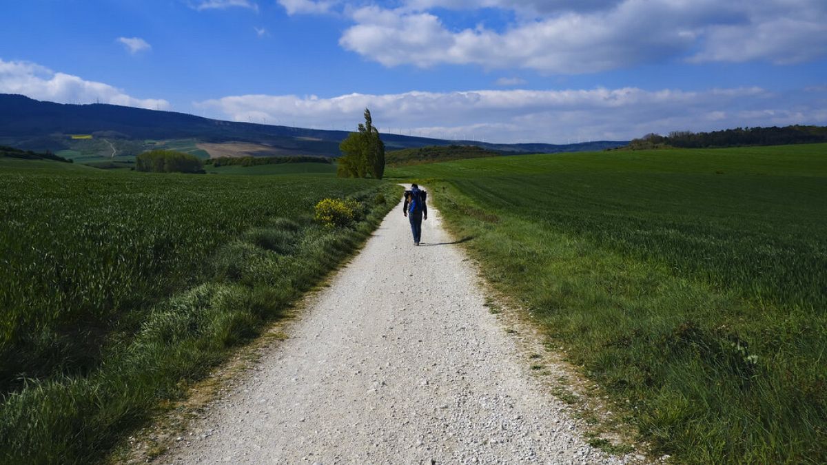 Pilgrims in Spain walk the Camino again to reach Santiago's cathedral