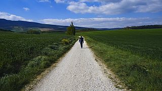 Pilgrims in Spain walk the Camino again to reach Santiago's cathedral