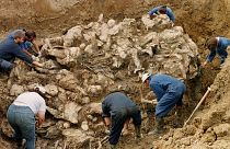 محققوا محكمة جرائم الحرب الدولية يزيلون التراب عن جثث عشرات ضحايا مجزرة سريبرينيتسا الذين دفنوا في مقبرة جماعية شمال شرقي توزلا. 1996/09/18