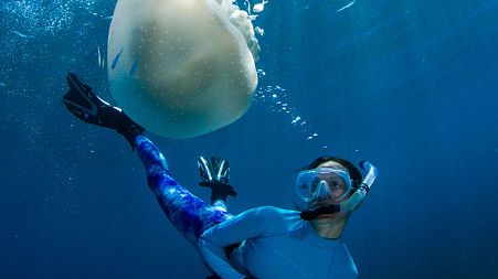Celine Cousteau diving with jellyfish