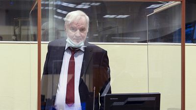 Дело Младича: суд в Гааге вынесет окончательный приговор