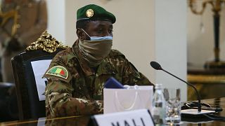 Mali: ECOWAS envoy, Goita discuss transition plans