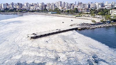 شاهد: إزالة المخاط البحري في أجزاء من تركيا