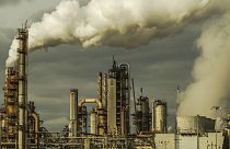 Which companies are the biggest polluters in the world?